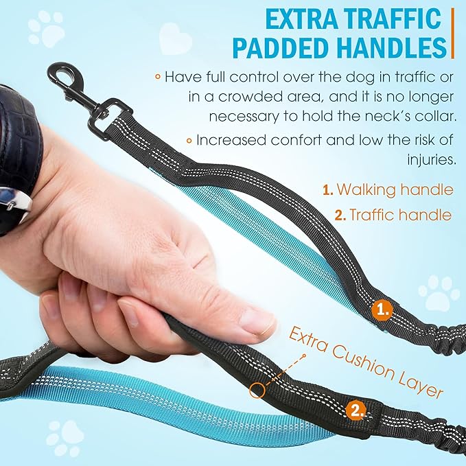 Hands Free Dog Leash with Waist Belt – No-Pull Bungee, Dual Padded Handles & Zipper Pouch for Running, Walking & Training – Adjustable Waist Leash for Large & Medium Dogs (Black)