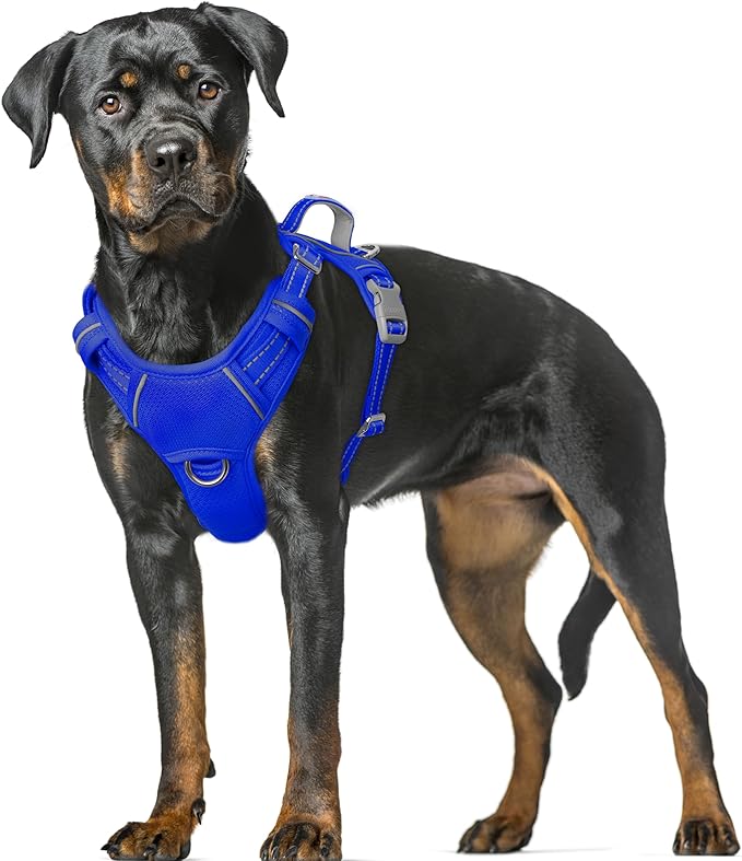 BARKBAY No Pull Dog Harness Large Reflective Dog Harness with Front Clip and Easy Control Handle for Walking Training Running with ID tag Pocket(Sapphire Blue,XL)