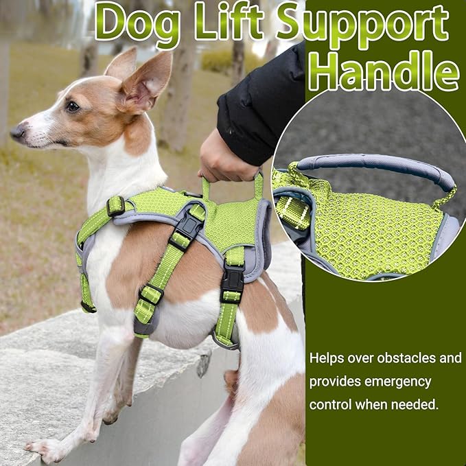 BELPRO Multi-Use Support Dog Harness, Escape Proof No Pull Reflective Adjustable Vest with Durable Handle, Dog Walking Harness for Big/Active Dogs (Green, S)