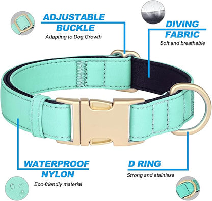 Didog Soft Padded Dog Collars for Medium Dogs, Colorful and Durable Dog Collar with Quick Release Buckle, Light and Breathable for Daily Walking, Teal, M