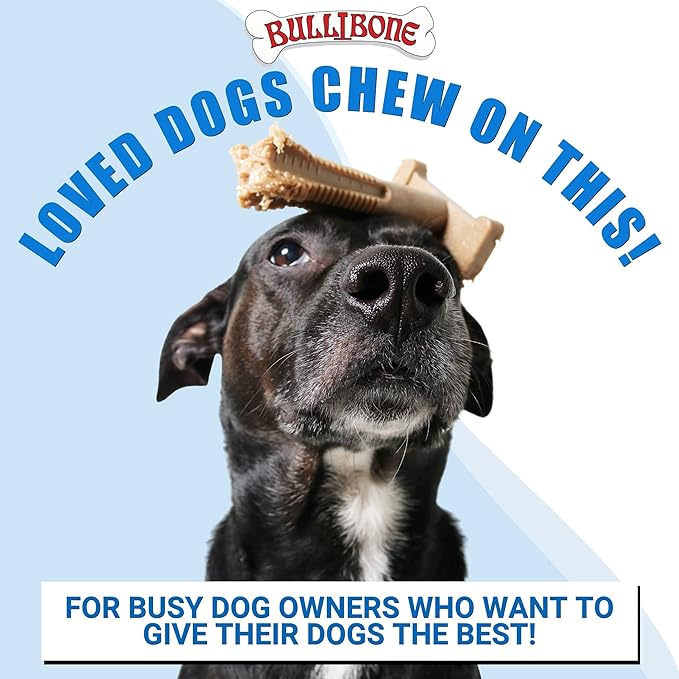 Bullibone Nylon Dog Chew Toy Spin-a-Bone - Interactive Dog Toy, Triggers Natural Instincts, and Improves Oral Health