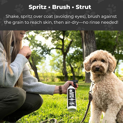 Play Date Dog Detangler Spray for Doodles, Poodles & Curly Breeds - 17 fl oz Doodle Detangler Spray with Emu Oil - Doodle Me This Kingston and Hamilton Dog Dematting - Sulfate & Paraben Free, USA Made