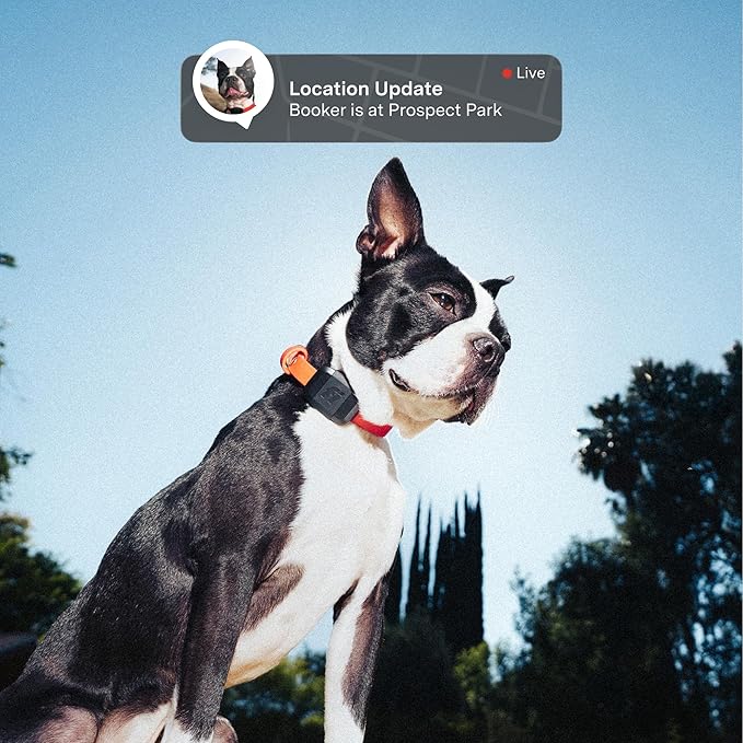 Fi Mini GPS Tracker for Dogs — 6-Month Membership Included — Smart Pet Tracking Collar Attachment — Lightweight, Virtual Fences, Escape Alerts, Step & Health, Waterproof