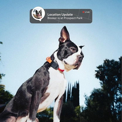 Fi Mini GPS Tracker for Dogs — 6-Month Membership Included — Smart Pet Tracking Collar Attachment — Lightweight, Virtual Fences, Escape Alerts, Step & Health, Waterproof