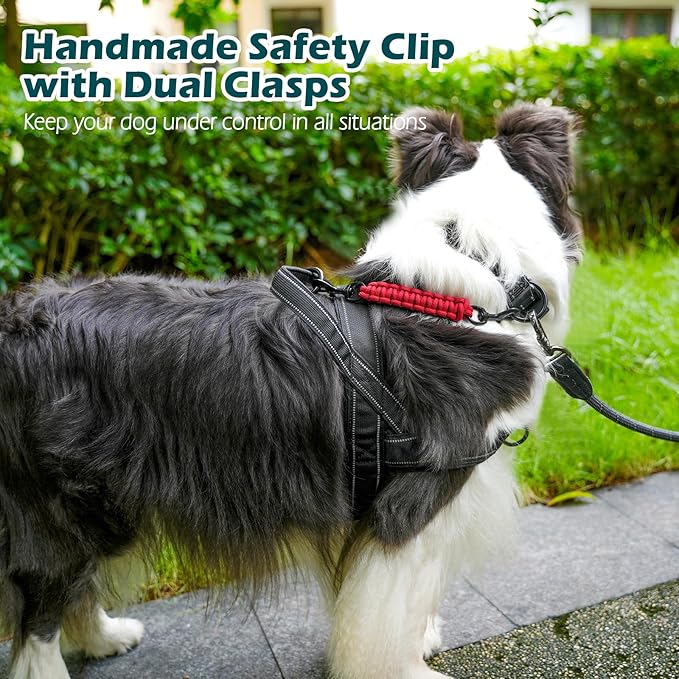 PetBonus Dog Collar Safety Clip, Handmade Backup Safety Strap for Dog Harness, Prong, Pinch Collar, Double Ended Clasp Leash Connector (Red)