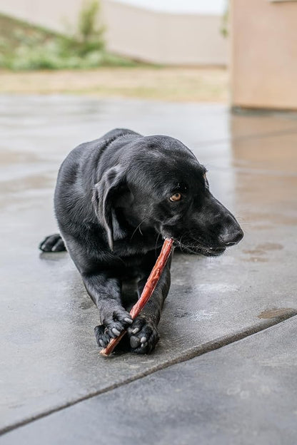 GigaBite Single Ingredient All Natural Free Range Bully Treats and Chews - Bully Sticks/Bladder Sticks/Beef Esophagus by Best Pet Supplies - Esophagus Sticks (6 Inch), Pack of 35