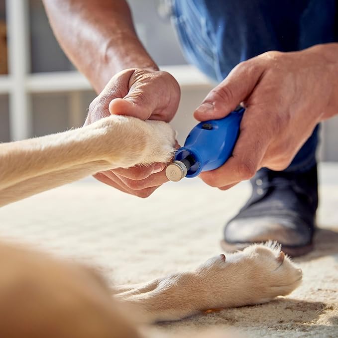 Dremel 416HP Diamond-Coated Rotary Nail Grinder Bit - Ideal for Dog Nail Grooming, Gentle with Precise Control