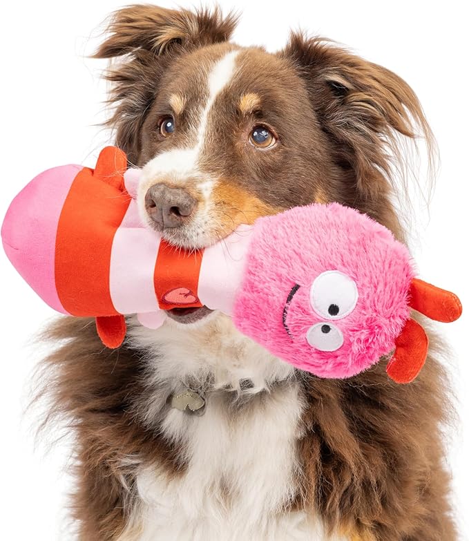 Huxley & Kent Funny Dog Toy w/Squeaker – Power Plush Squeaky Dog Toys for Small, Medium & Large Dogs – Soft Stuffed Animal for Indoor Play & Fetch - Fur Bug, One Size