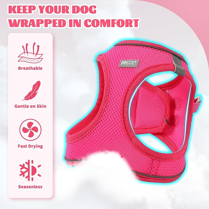 Bolux Dog Harness Small Sized and Leash Set, Step in Soft Light Puppy Vest, Breathable Mesh Pet Harness, Reflective for Safe Easy Walking.