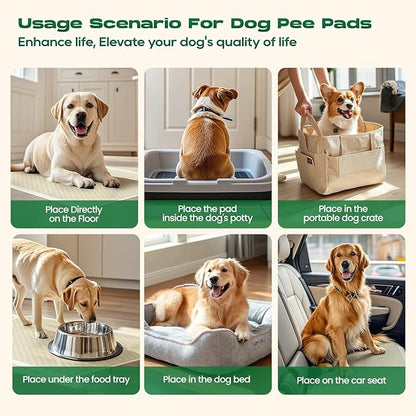 DOGGO DOUG Puppy Pads 50 Count Small 30x36in Bamboo Training Pads Deodorizing Leakproof Quick Drying Dog Pee Pads Super Absorbent Disposable Pee Pads for Dogs with Adhesive Tabs