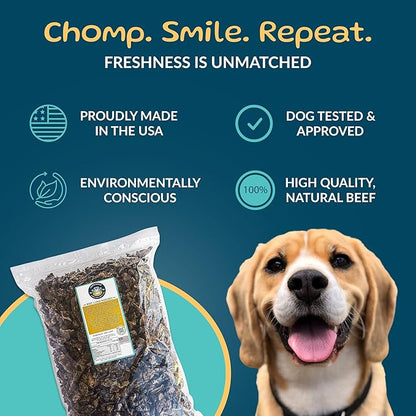 TREATOPIA Beef Lung Nuggies Dog Treats – Single Ingredient, High Protein, Low Odor, Natural Crunchy Training Treats for Dogs – USA Sourced, Grain-Free, All-Natural (4 lb Bag)