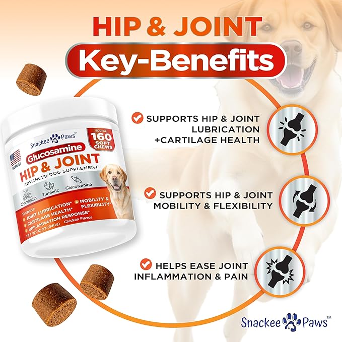 Hip and Joint Supplement for Dogs - Glucosamine for Dogs - Approx 160 Joint Pain Relief Chews - Chondroitin, MSM - Hemp Oil - Advanced Canine Health Supplement - Mobility Support Treats