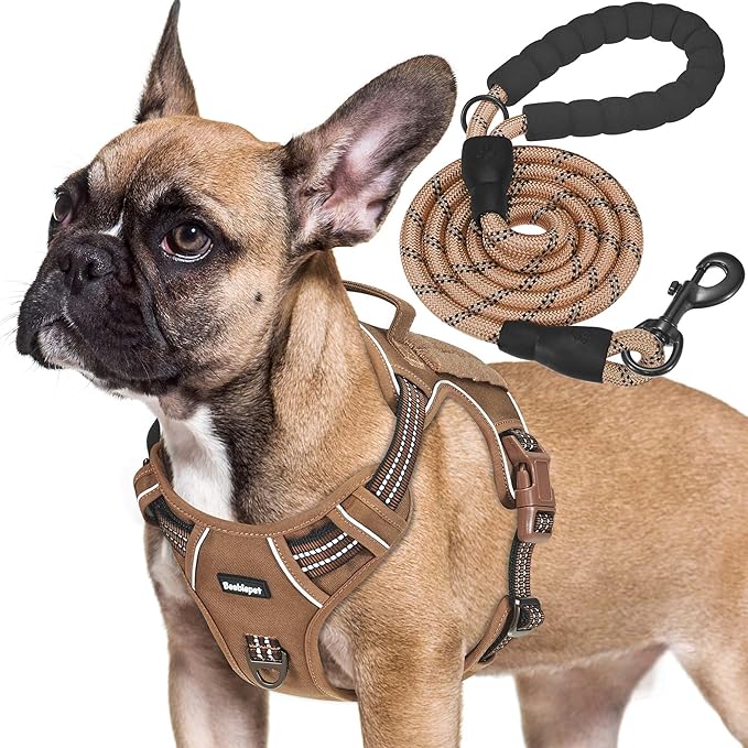 Heavy Duty Tactical Dog Harness for Medium Dogs, Brown, Molle System, Four-Point Adjustment, Anti-Lost ID Tag, Includes 5ft Leash