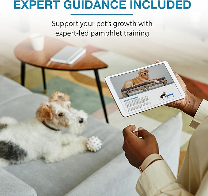 Blue-9 KLIMB Jr. Professionally Designed Dog Training Platform and DIY Guide for Behavior Basics, Made in The USA, Black