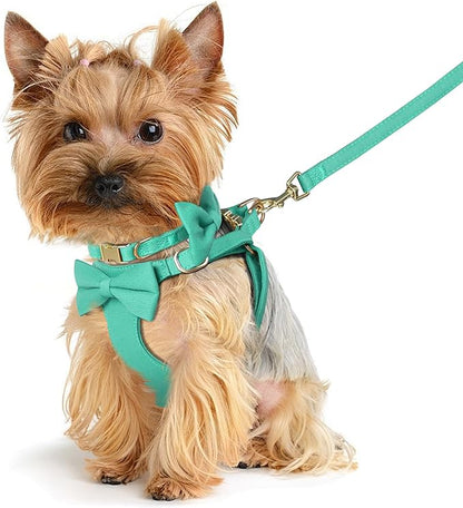 Beirui Adorable Small Dog Harness Collar and Leash Set,Cute XXS Puppy Harness Set with 3 Bows for Tiny Dogs,Chihuahua,Adjustable Step-in Vest for Daily Walking,Parties&Holiday Outfits(Teal,XXS)