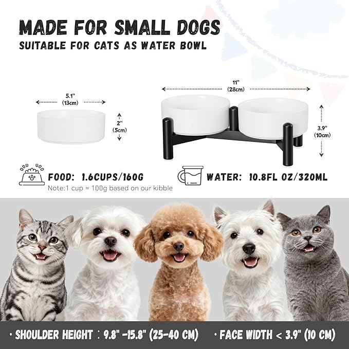 Raised Ceramic Dog Bowl Set - Elevated Double Dishes with Stainless Steel Stand - Food and Water Bowls for Small Dogs and Indoor Cats - Each Holds 1.6 Cups (10.8 fl oz) - White
