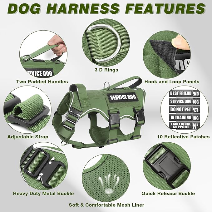 Service Dog in Training Vest and Leash Set with 10 Patches,Heavy Duty Tactical Dog Harness with Metal Buckles for Large Dogs,No Pull Easy Walking for Training Working Hiking,Green L
