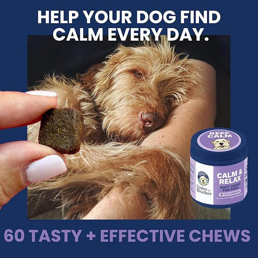Under the Weather Calming Chews for Dogs | Vet Formulated Dog Calming Chew Treats | Natural Stress Support | Helps with Anxiety, Stress & Thunderstorms | Chicken Flavor Dog Calming Aid | 60 Count