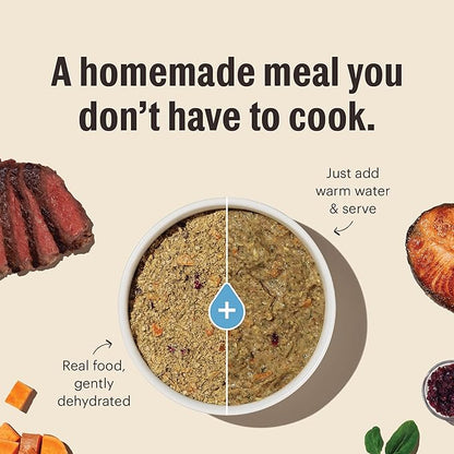 The Honest Kitchen Human Grade Wholemade™ Dehydrated Whole Grain Turkey Dog Food - Complete & Balanced Meal or Topper - 7 lb Box