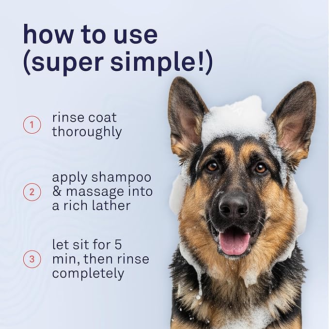 Petpost | Skunk Odor Eliminator Shampoo for Dogs & Cats. Neutralizes Strong Odors. Gentle & Safe Formula. 16 oz
