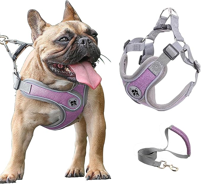 Puppy Harness and Leash Set,No Pull Adjustable Step in Soft Mesh Vest Harness,Easy Walk Reflective Pet Harness with Padded Handle for Walking Training Small Medium Large Dogs and Cats (Purple, XS)