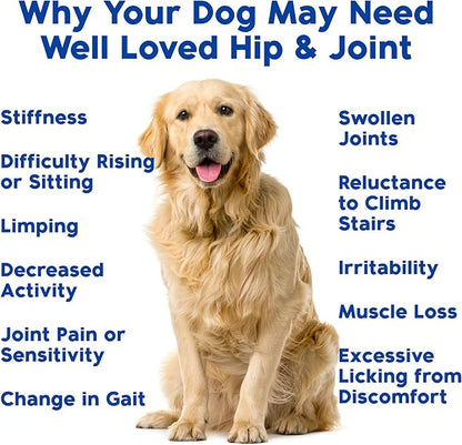 Well Loved Glucosamine for Dogs - Joint Supplement for Dogs, Made in USA, Vet Developed, Glucosamine Chondroitin, Hip and Joint Chews with MSM, Large Breed, Pain Relief, 120 Chews