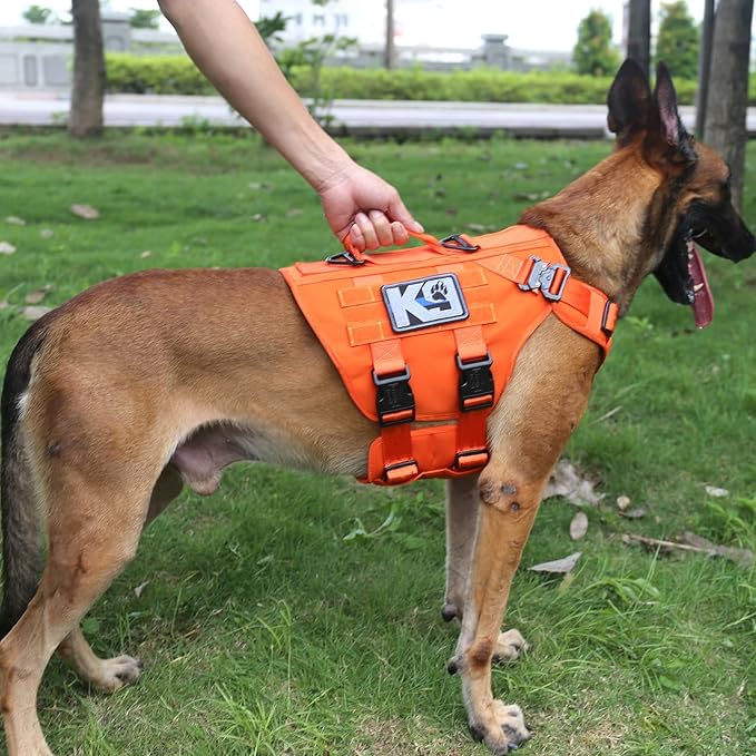 ICEFANG GN3 Tactical Dog Harness with 6X Buckle,Dog Molle Vest with Handle,3/4 Body Coverage,Hook and Loop Panel for ID Patch,No Pulling Front Clip (L (28"-35" Chest), Orange)