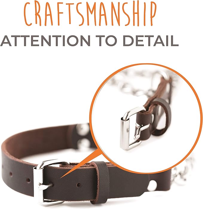 Mighty Paw Martingale Dog Collar - No Pull Design - Stainless Steel Chain - Limited Chain Cinch Training - Brown Leather Martingale Training Collar - Medium Size