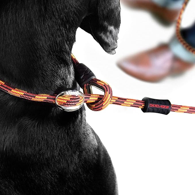EzyDog Luca Slip Lead Dual Function Heavy Duty Rope Leash for Dogs That Pull Slip Leash & Gentle Lead Head Halter, Small (5.5ft x .23', Black)