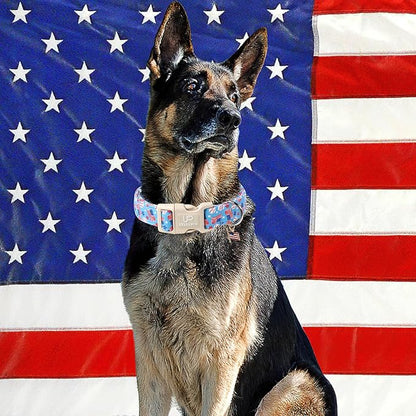 UP URARA PUP 4th of July Dog Collar–American Flag Dog Collars,Patriotic Stars & Baseball Pet Collar with Quick Release,Adjustable for Small/Medium Dogs