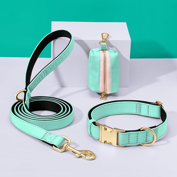 Didog Soft Padded Dog Collars for Medium Dogs, Colorful and Durable Dog Collar with Quick Release Buckle, Light and Breathable for Daily Walking, Teal, M
