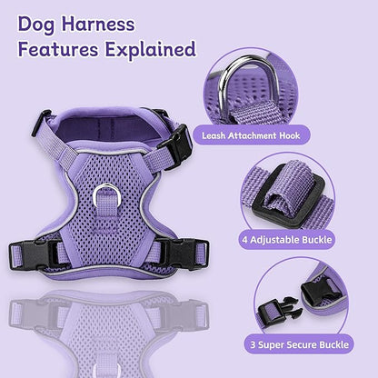 Small Dog Harness and Leash Set, Reflective Soft Breathable Mesh Vest, 3 Buckles, Adjustable Neck and Chest,Step in Dog Harness for Walking, Running, Training, Purple, S