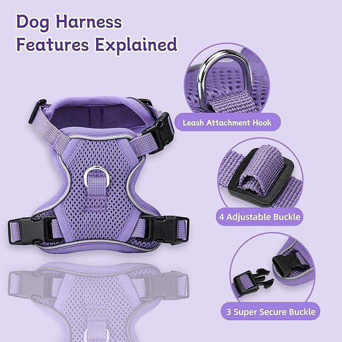 Small Dog Harness and Leash Set, Reflective Soft Breathable Mesh Vest, 3 Buckles, Adjustable Neck and Chest,Step in Dog Harness for Walking, Running, Training, Purple, M