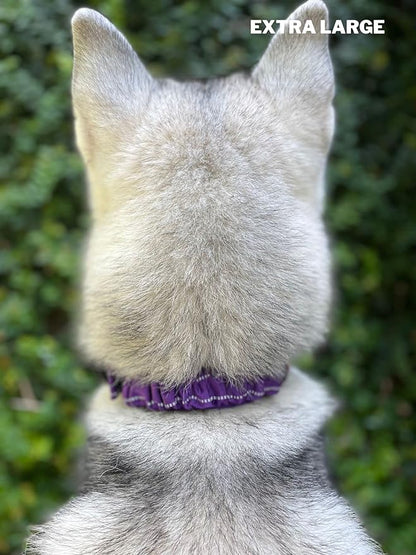 Heavy Duty Dog Collar with Handle | Ballistic Nylon Heavy Duty Collar | Padded Reflective Dog Collar with Adjustable Stainless Steel Hardware | Convenient Sizing for All Breeds X-Large (19-23" Neck)