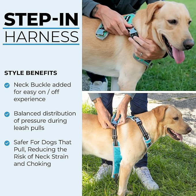 DogTraxs - Step-in Dog Harness - for Large Dogs - Soft Padding & Reflective Trim - Adjustable No Pull Through Design - Control Handle - Top & Front Clip Durable - Sky Blue