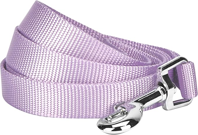 Blueberry Pet Essentials Lavender Dog Leash for Medium - 5' * 3/4" Dogs | Heavy Duty Nylon Lead | Lightweight Puppy & Cat Leash for Walking & Training