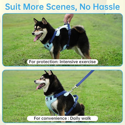No Pull Dog Harness Leash and Collar Set, Soft Adjustable Dogs Vest Reflective and Comfortable Handle Blue Medium