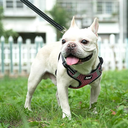 PUPTECK Dog Harness and Leash Set Small Sized, Step in No Pull Adjustable Puppy Cat Harness Reflective Pet Vest