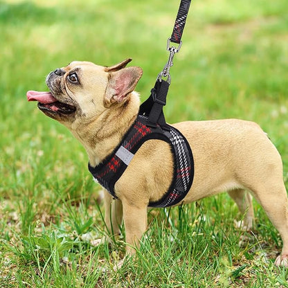 PUPTECK Dog Harness and Leash Set for Small Medium Dogs No Pull Step-in Soft Mesh Puppy Cat Vest Harnesses Reflective at Night, Plaid Pattern Black M