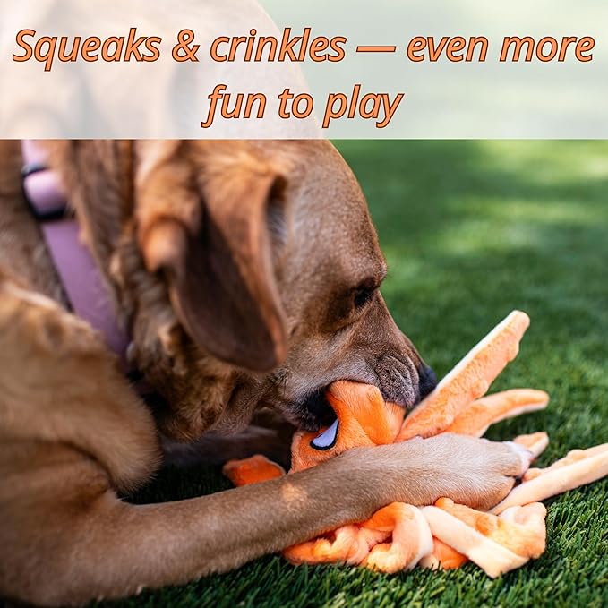 Orange Octopus Dog Toy – Squeaky & Crinkle Plush – No Stuffing Toy for Small Medium Large Dogs Puppies & Seniors – Interactive Safe Soft Toy for Tug Fetch Play – Tail Town