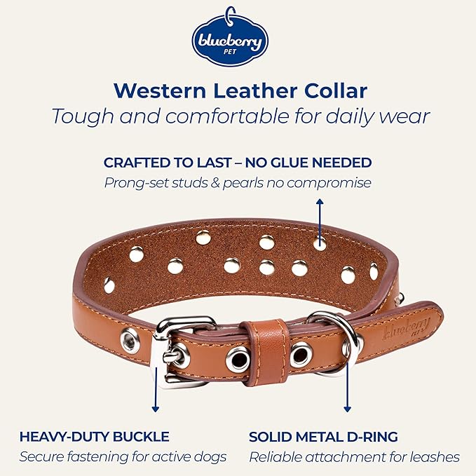 Blueberry Pet Western Dog Collar in Canyon Brown - 12-15 Inch Necks Floral-Embroidered Leather with Turquoise Studs, Dog Collars for Small Dogs, Adjustable Leather Girl Dog Collar