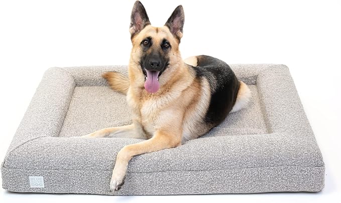 Bluewater Dog Luxury Boucle Orthopedic Memory Foam Dog Bed with Waterproof Liner and Machine Washable Cover with YKK Zippers (Large, 45" L x 36" W x 7" Th, Sand)