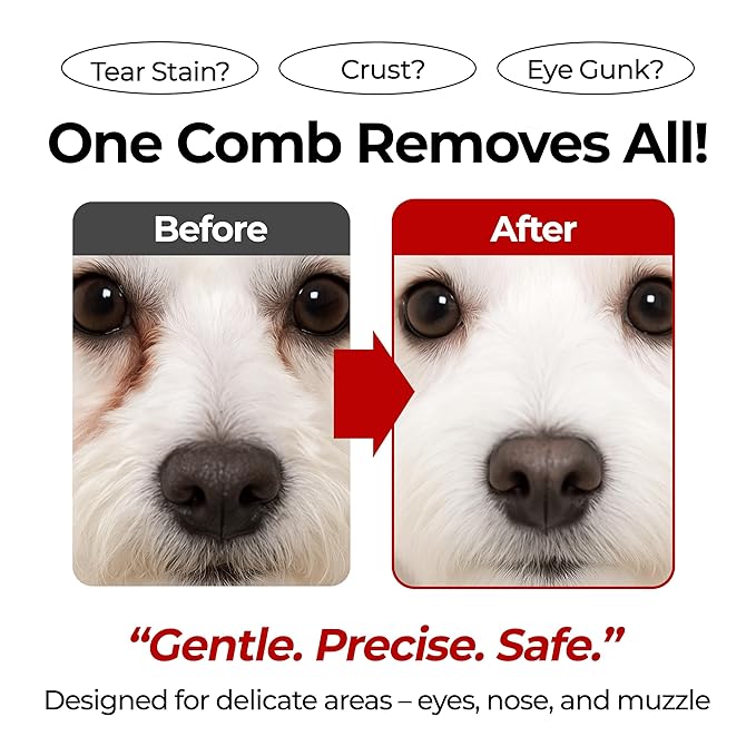 JAYU PET Facial Grooming Comb - Dog Eye Combs, Stress-free Tear Stain Remover for Dogs & Cats, Pet Facial Brush, Cat Grooming Kit, Stainless Steel Deshedding Comb (1ea)
