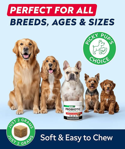 STRELLALAB Dog Probiotics Chews for Digestive Health & Gut Support with Yeast and Enzymes - Anti Gas, Diarrhea and Upset Stomach Immune Supplement - Digestion Treats with Fiber (120Ct, Chicken)