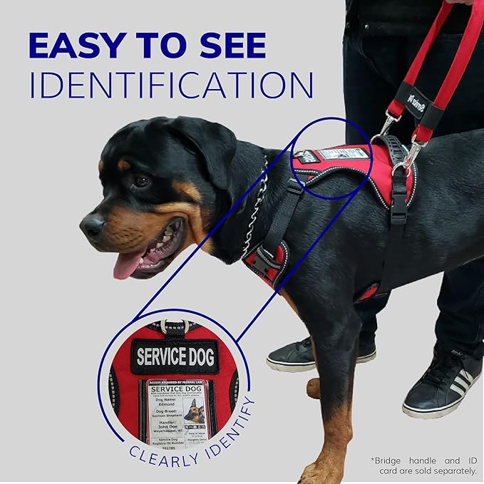 ActiveDogs No Pull Harness - Adjustable Service Dog Harness for Small Dogs with Control Handle, ID Window, D-Rings & Reflective Padding - Red, 19"-25"