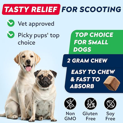 STRELLALAB Anal Gland Support Chews - Scoot Treatment - Digestive Enzymes, Prebiotics & Fiber Supplement for Dogs Digestion & Gut Health. Proprietary Blend of Beet, Psyllium, Dandelion & Pumpkin 120Ct