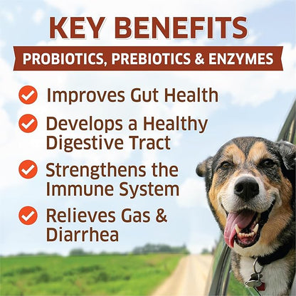 Probiotics for Dogs - Hot Spot Remedy for Dogs + Prebiotic - Dog Allergy Chews - Improve Digestion & Upset Tummy, Relieve Gas & Diarrhea, Dog Probiotics and Digestive Enzymes, 120 Dog Probiotic Chews