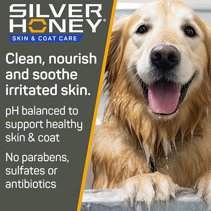 Silver Honey Nourish & Soothe Grooming Combo Pack, 16 fl oz each of Odor Neutralizer Shampoo + Leave-In Conditioner, Dog & Cat Skin & Coat Care, Natural Manuka Honey + MicroSilver BG, Pump Bottles