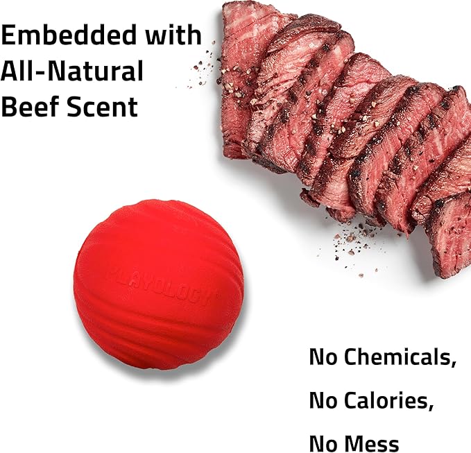 Playology Dog Toys | Dual Layer Ball Durable Chew Toy for Aggressive Chewers | Jumbo Beef Scented Toy - Easy to Clean and Made from Non Toxic Materials