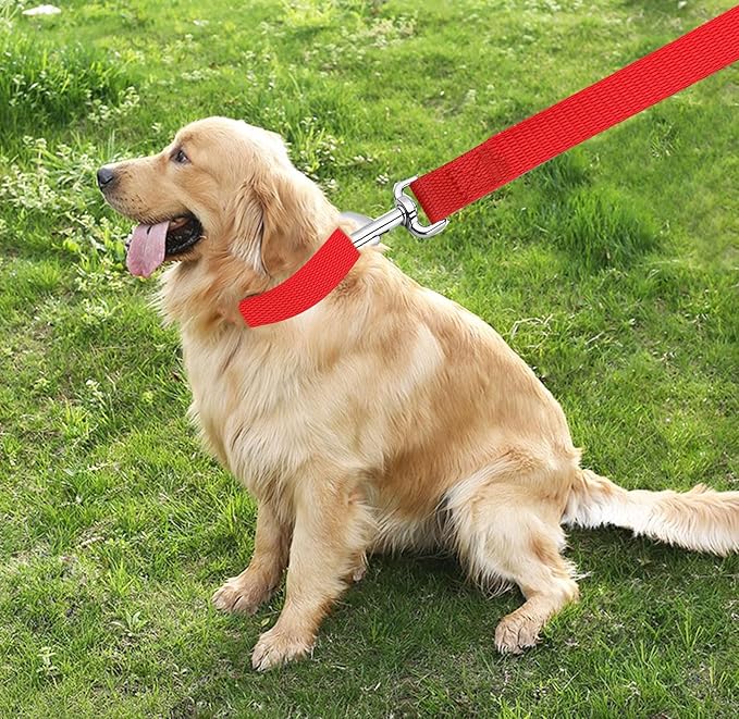 TAIAN 4FT/5FT/6FT Strong Dog Leash, Nylon Dog Leashes for Small Medium Large Dogs (1 in x 5 ft, Red)